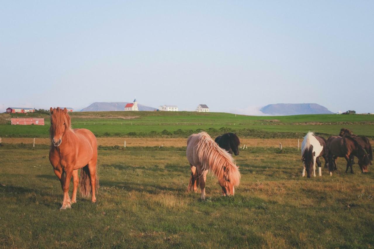 Sandur Þórshöfn Εξωτερικό φωτογραφία